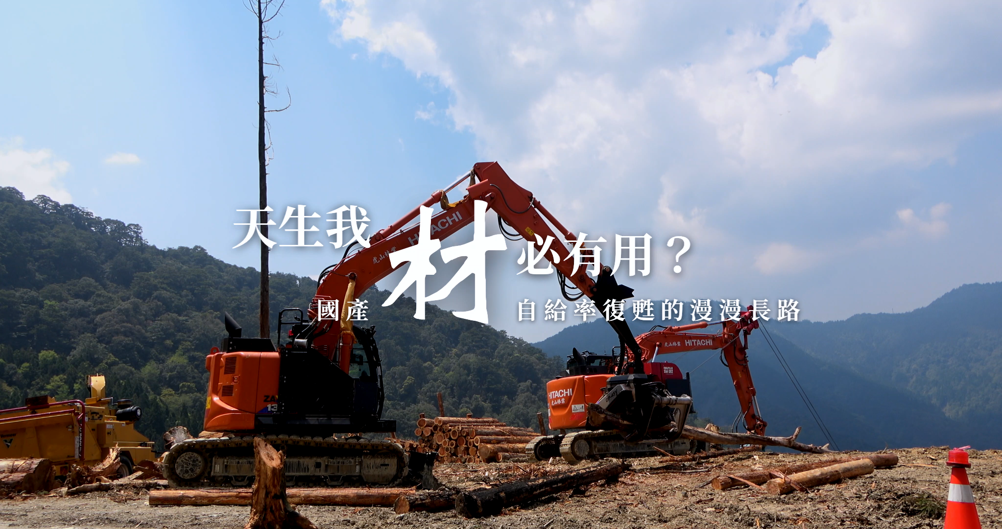 天生我材必有用？　國產材自給率復甦的漫漫長路
